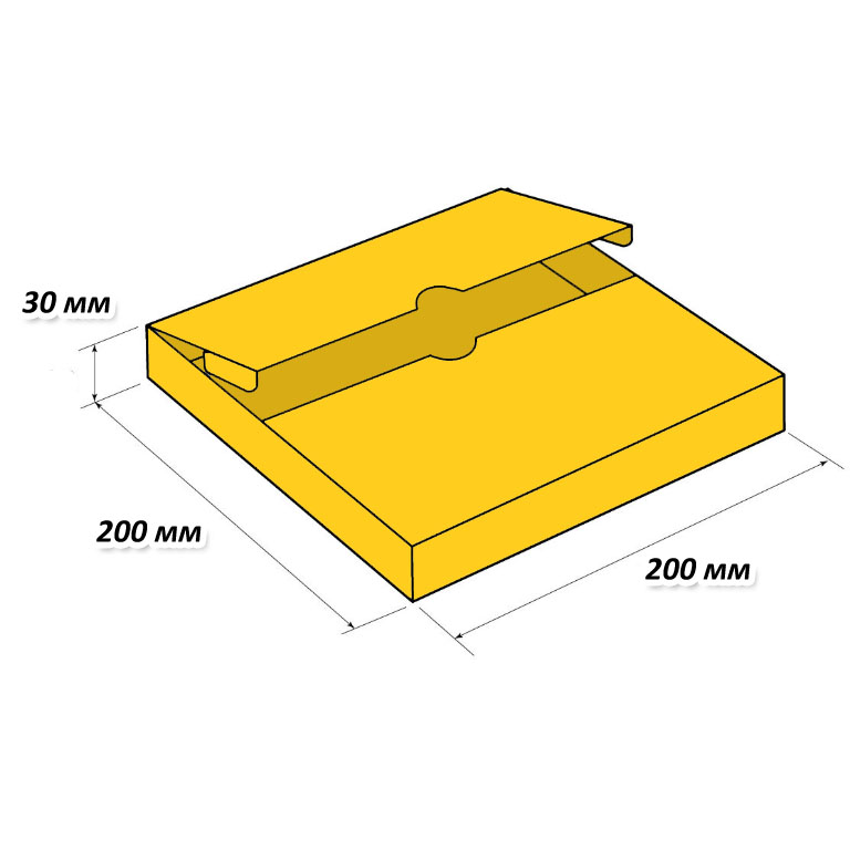 Коробка портфель, размер 200*200*30 мм