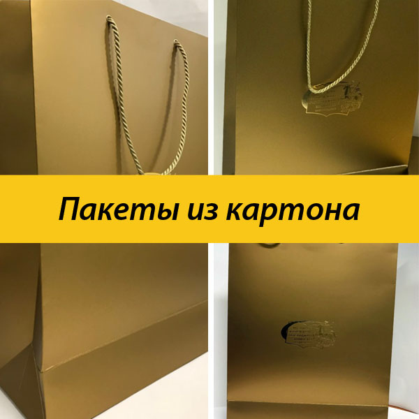 Пакеты из дизайнерского картона с тиснением логотипа