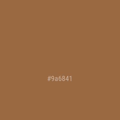Цвет #9a6841
