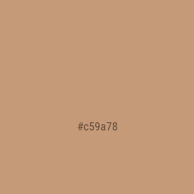 Цвет #c59a78